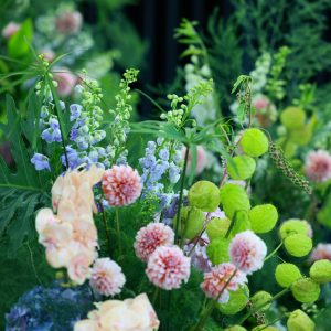 Season Extension Strategies: A Live Training for Petaled Flower Growers