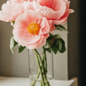 The Peony Grower's Blueprint: A Structured Online Training