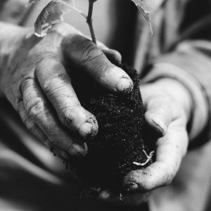 Soil Science for Flower Farmers: A Self-Paced Learning Module